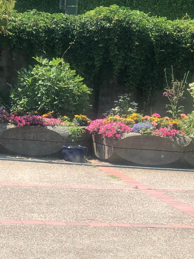Vancouver Shaughnessy Guest Home エクステリア 写真