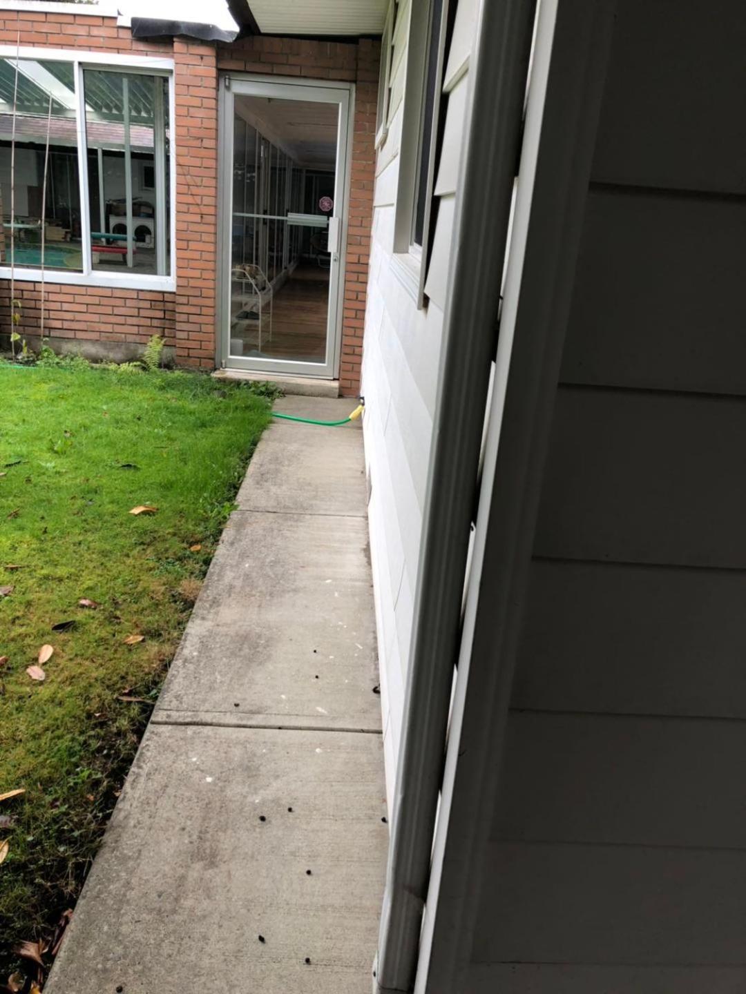 Vancouver Shaughnessy Guest Home エクステリア 写真